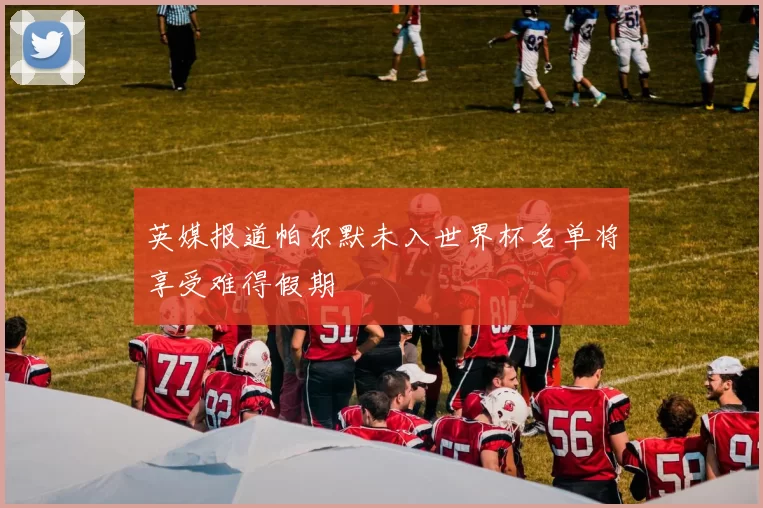 英媒报道帕尔默未入世界杯名单将享受难得假期