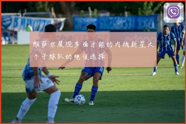 维萨尔展现多面才能的内线新星大个子球队的绝佳选择